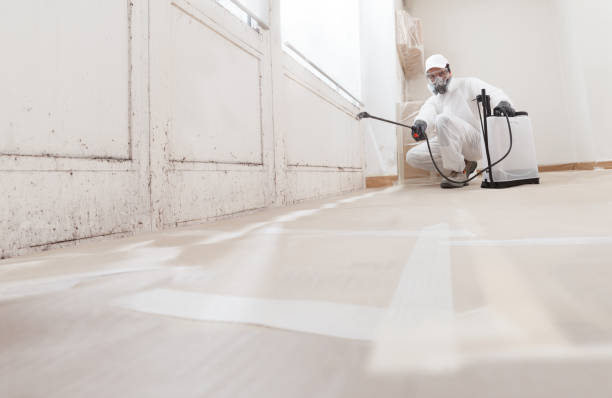 24/7 Emergency Mold Removal experts in Fremont, NC